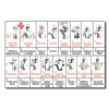 Hand Signals Laminated Card English & Spanish